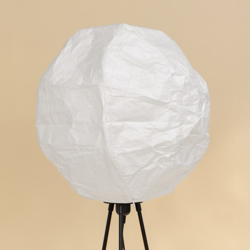 Fig Living Luna Floor Lamp media 8