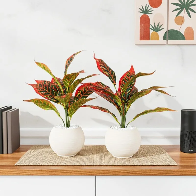 Faux Red Croton Plant With Black Plastic Pot (50 cms) - Set Of Two media 1