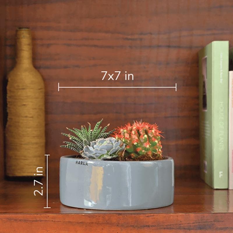 Ugaoo Lilac Stories 6022 Grey Ceramic Pot media 4