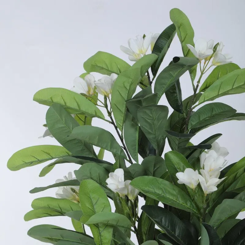 Faux Frangipani Plant With Black Plastic Pot - 3.94 ft media 6
