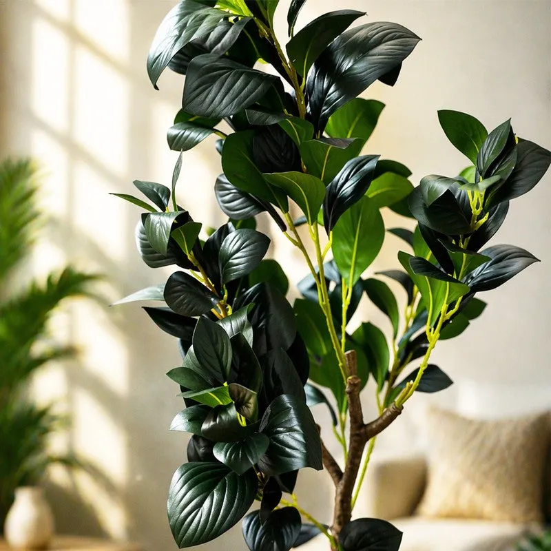 EverGreen Ficus Artificial Plant With Black Plastic Pot - 91 cm (3 ft) media 5