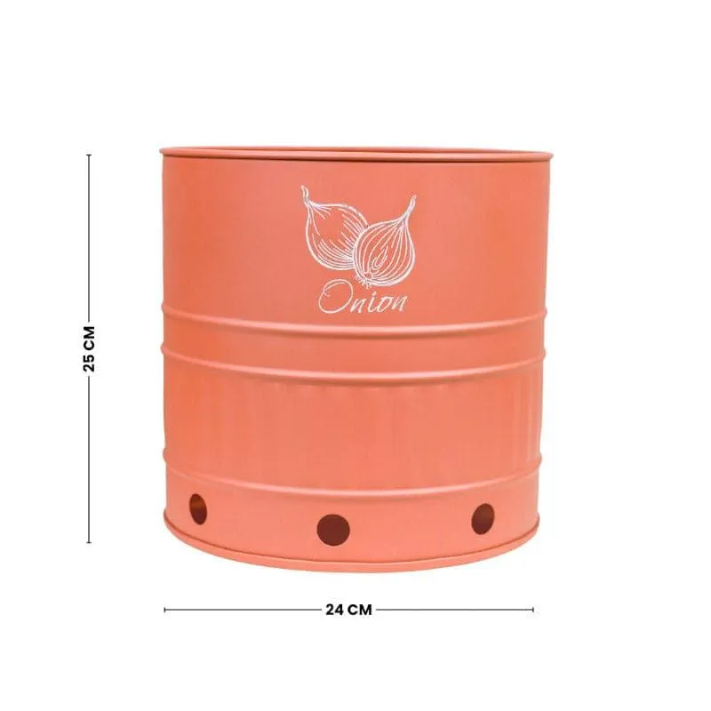 Ferrous Fun Round Onion Iron Container - 11 L media 5