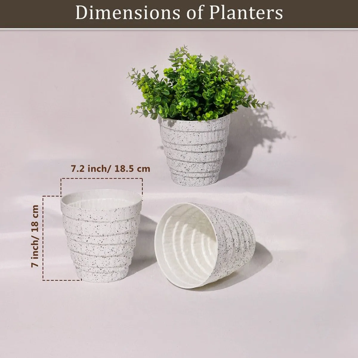 White planter shown from different angles with a green plant