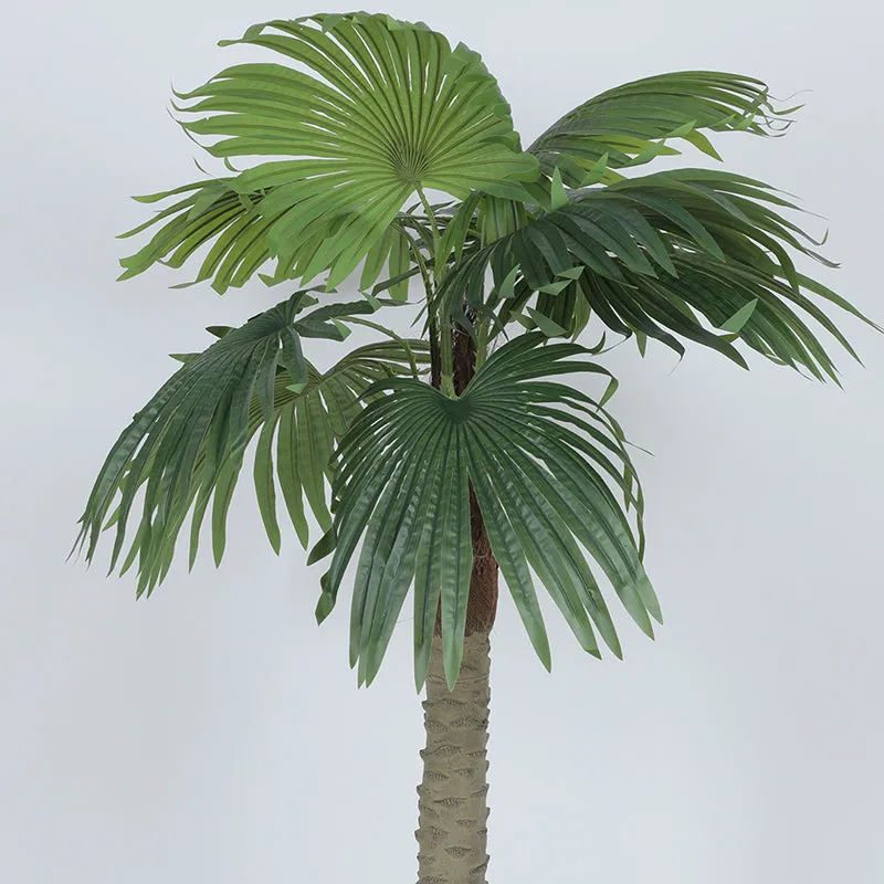 Dune Oasis Artificial Palm With Black Plastic Pot - 5 Feet media 5