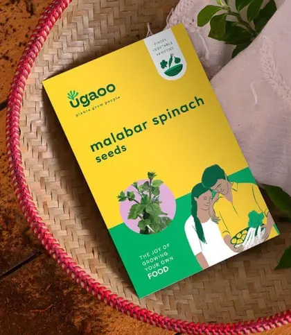 Seeds