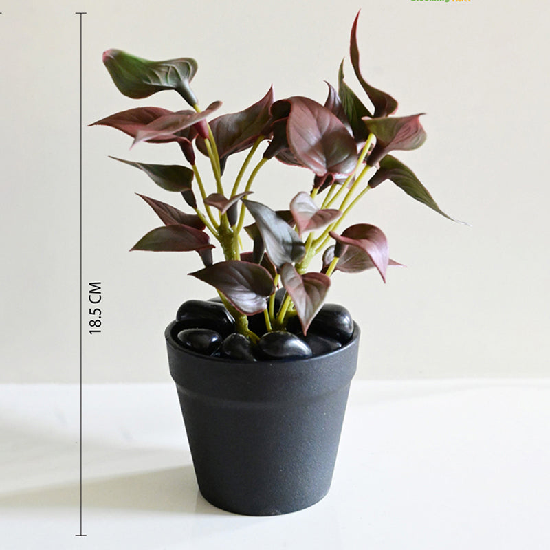 Moniva Artificial Pothos/Money Plant With Black Plastic Pot (Purple) - 19 cm media 6