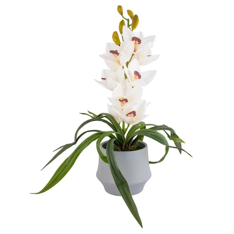 AarviDecor Ivory Orchid Silk Artificial Plants media 3