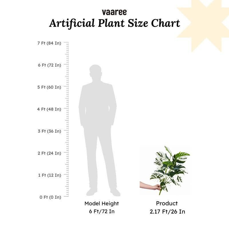 Faux Monstera Variegata Plant - 2.1 Feet media 6