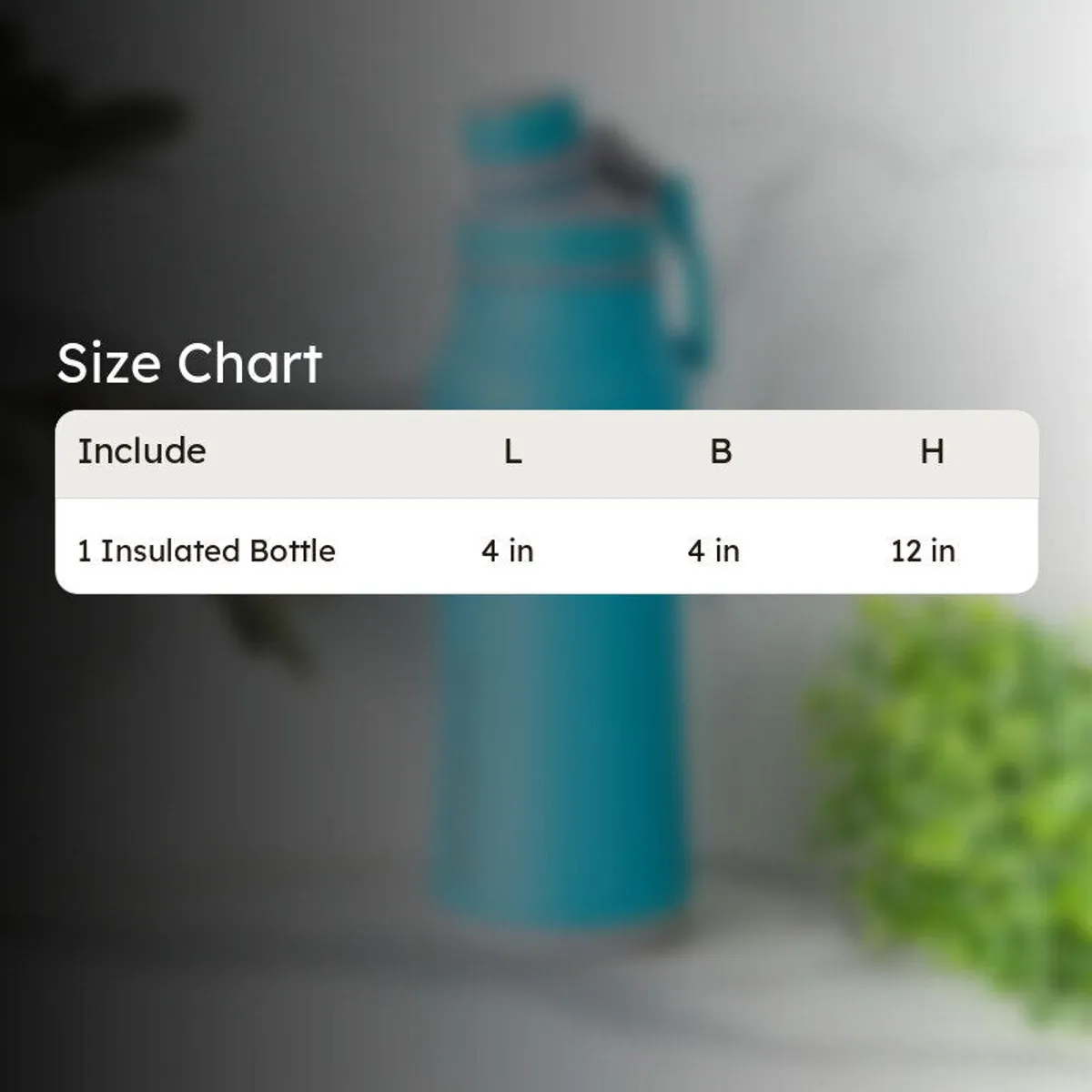 Blue insulated bottle shown behind a size-chart graphic