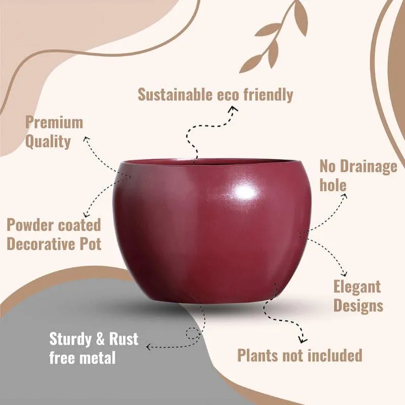 Marsha Miro Planter (Red) - Set Of Two media 5