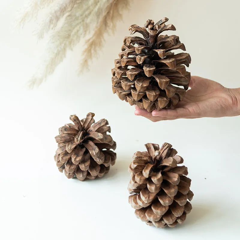 Alpine Dried Jumbo Pine Cone - Set Of Three media 4