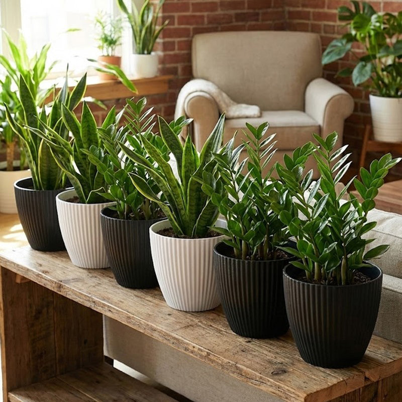 Arelis Ribbed Melamine Planter - Set Of Six media 3