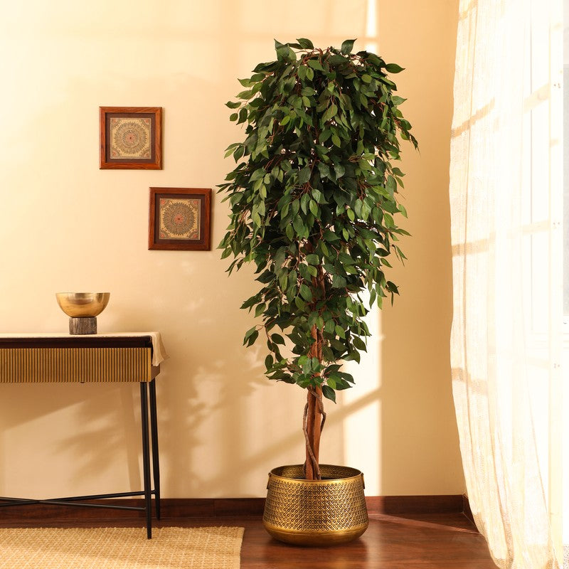 Artificial Green Ficus Plant With Black Plastic Pot - 7 ft