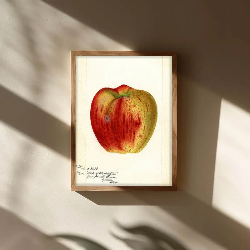 AppleHue Archival Canvas Wall Art - Brown media 3