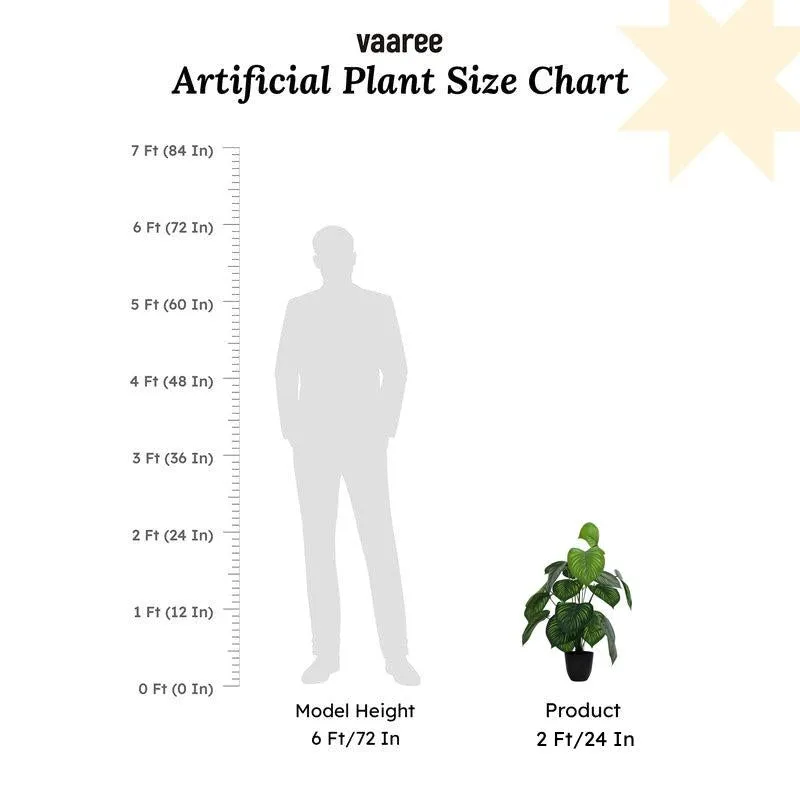 Artificial Money Plant With Black Plastic Pot - 2 ft media 8