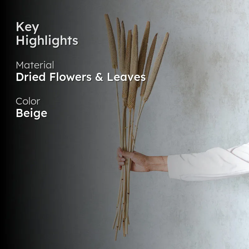 Sival Dried Millet Stick (Beige) - Set Of Ten media 2
