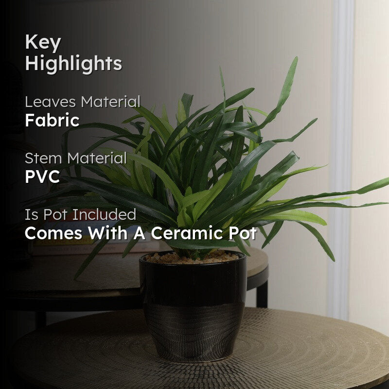 Artificial Green Yucca Bush Bonsai Plant With Ceramic Pot - 0.8 Feet media 2