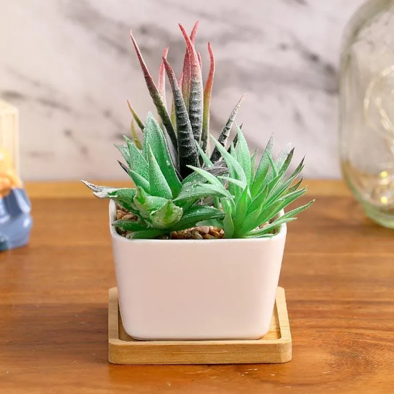 Faux Succulent Set In Square Pot - 14.5 cms media 1
