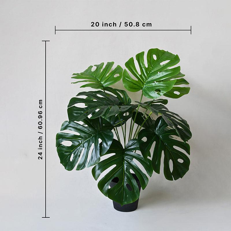 Faux Everlasting Deliciosa Monstera Artificial Plant With Black Plastic Pot - 61 cm (2 ft) image 5