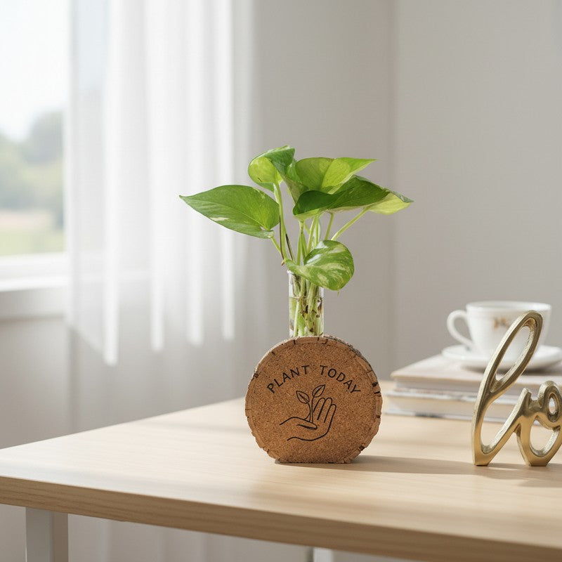 LeafLoom Modern Planter - Two Piece Set media 2