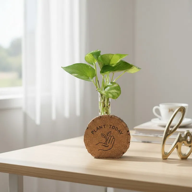 LeafLoom Modern Planter - Two Piece Set media 2