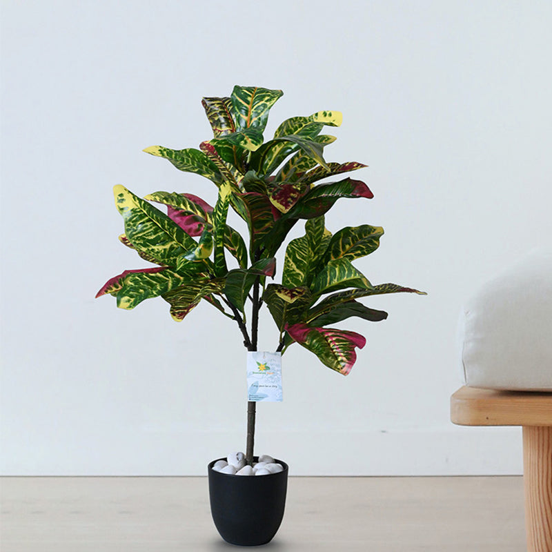 Faux Everlasting Garden Croton Plant With Black Plastic Pot - 74 cm (2.4 ft) media 3