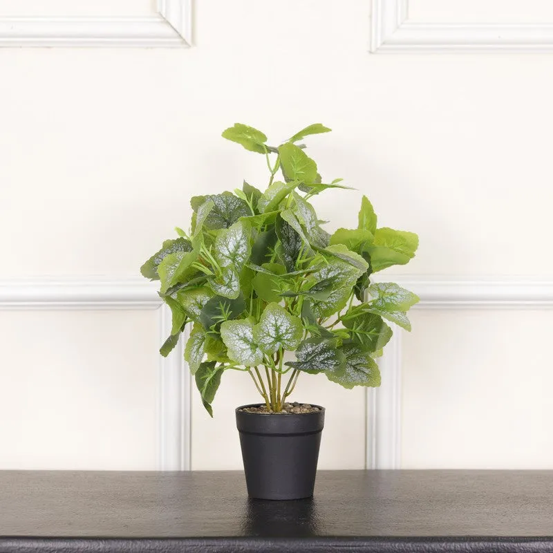 Artificial Frosted Grape Ivy Leaf Plant With Black Fiber Pot - 1 Feet media 3