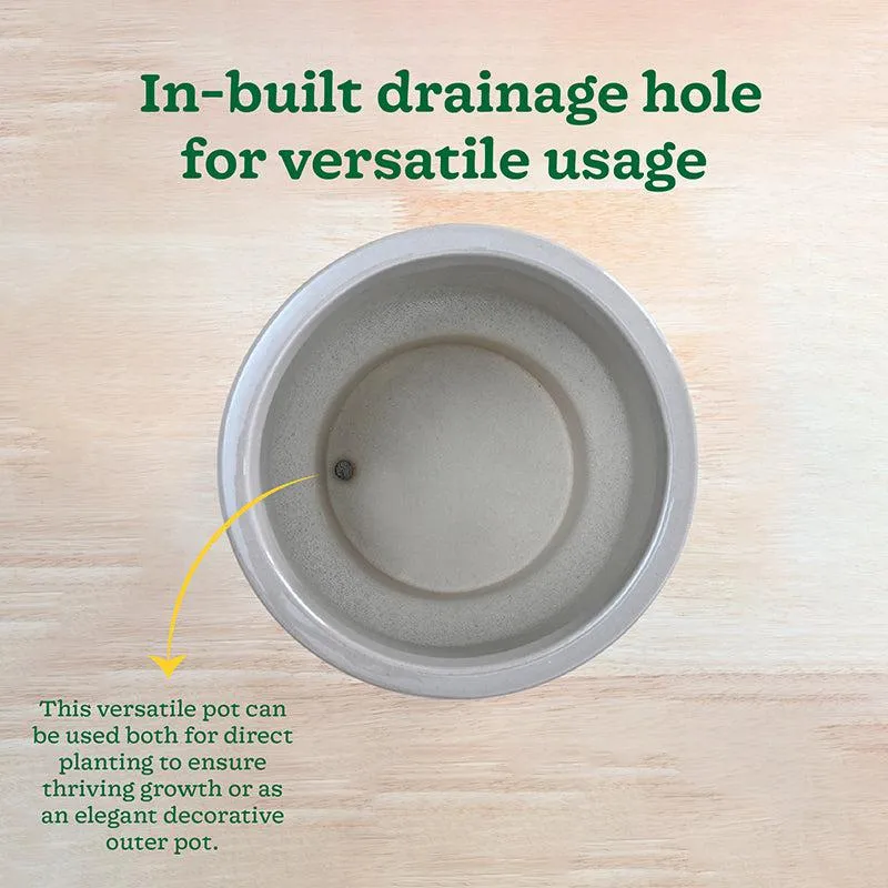 Ugaoo Pot-fection Ceramic Planter - Dark Green media 8