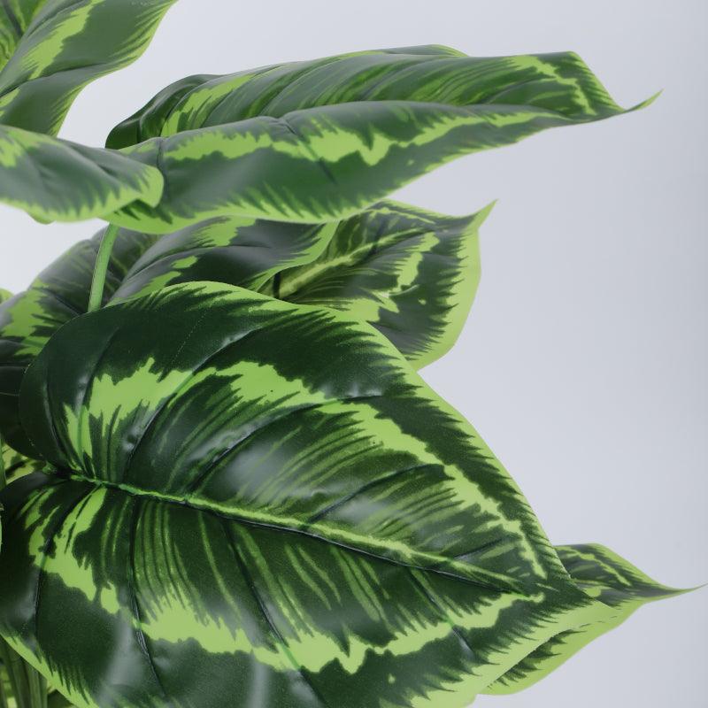 Faux Calatheas Silk Plant With Black Plastic Pot - 2.13 ft media 5
