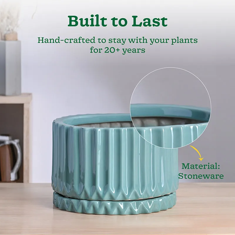 Ugaoo Stria Ceramic Planter - Blue media 4