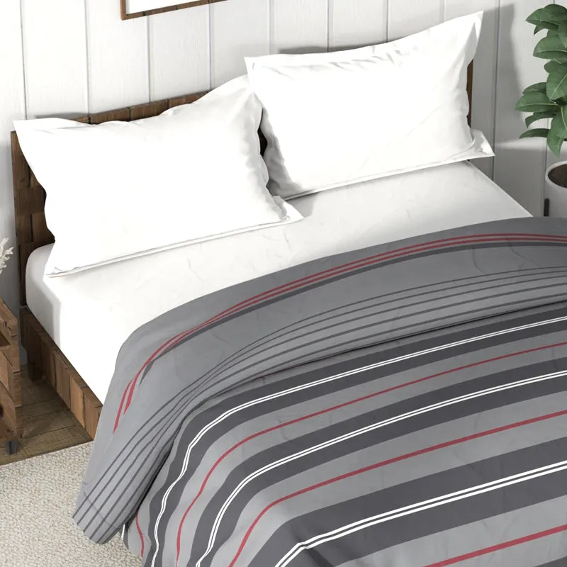 Nautica Stripe Symphony Comforter (Grey,Maroon) - 130 GSM media 4