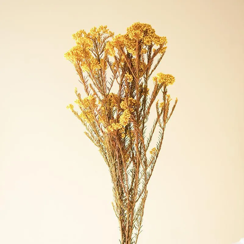 Artificial Rice Flower Stem (Yellow) - Set Of Three media 3