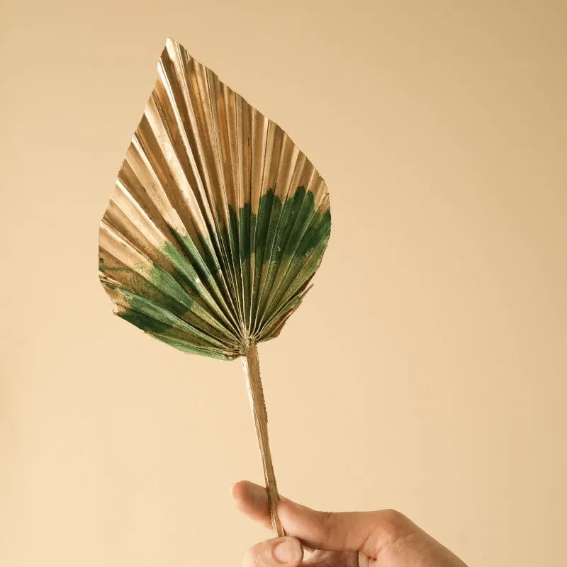 Dried Dual Tone Palm Leaf (Golden Green) - Set Of Five media 4