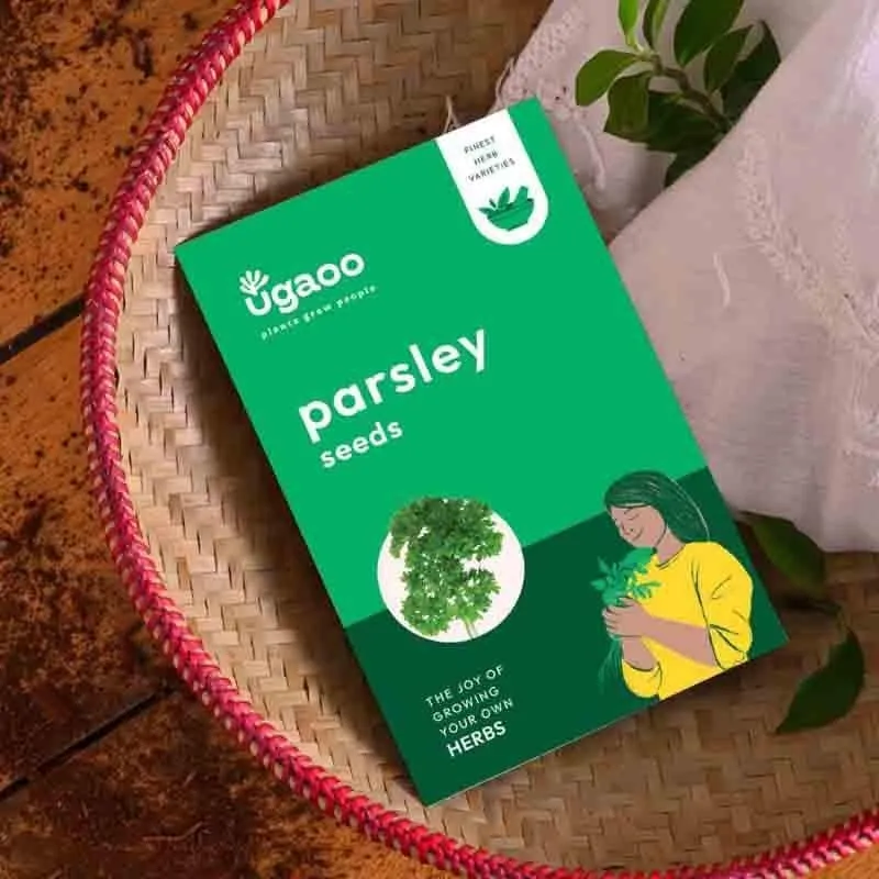Ugaoo Parsley Seeds media 4