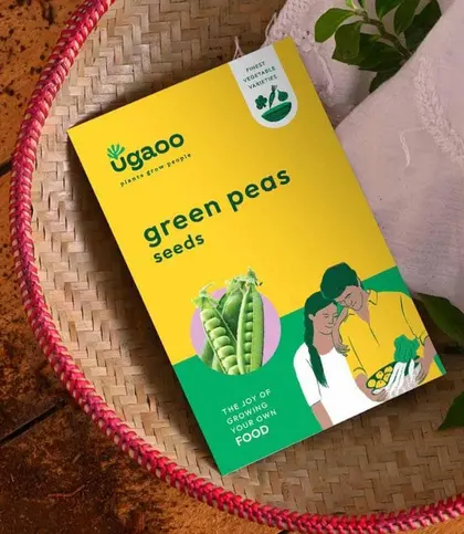 Seeds