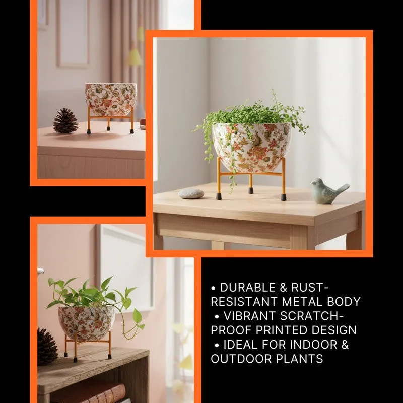 Blossom Mitti Pots & Planters media 4