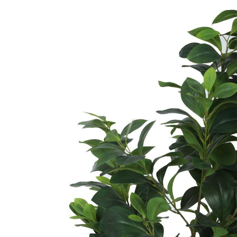 EverGreen Luxe Artificial Indoor Plant Without Pot - 4.5 Feet media 8