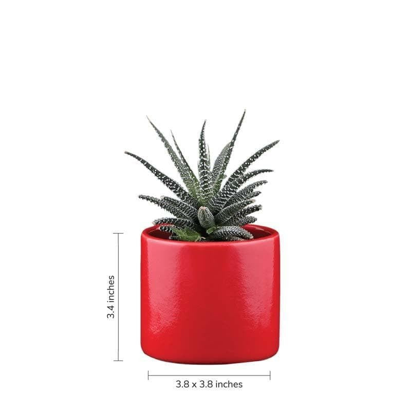 Ugaoo Pipe Red Ceramic Pot media 6