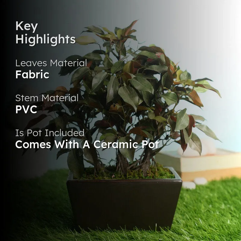 Red Ficus Artificial Bonsai Plant With Ceramic Pot 1.1 Feet - 1.3 Feet media 2