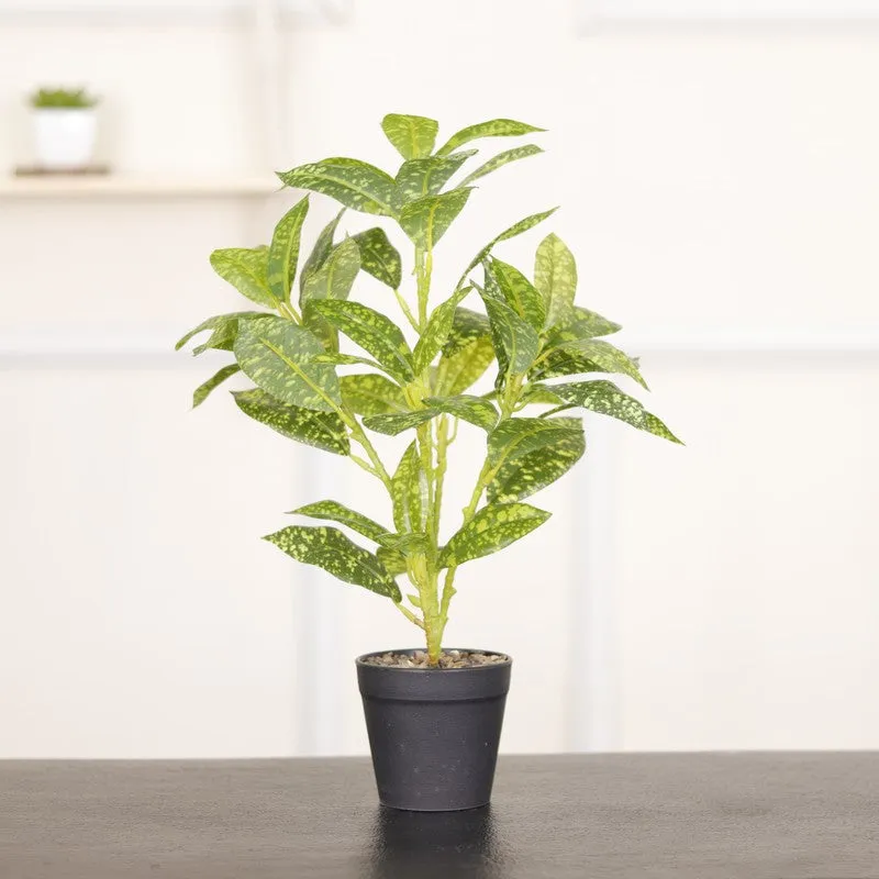 Artificial Croton Leaf Plant With Black Fiber Pot (Yellow) - 1.3 Feet media 3
