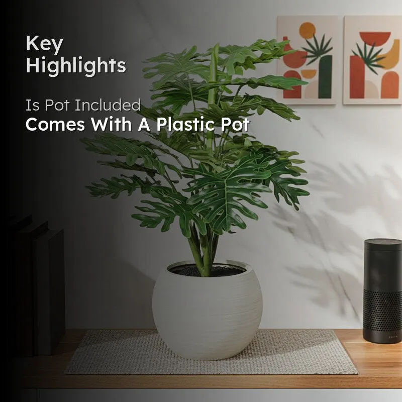 Faux Philodendron Bonsai In Black Plastic Pot - 45 cms media 2