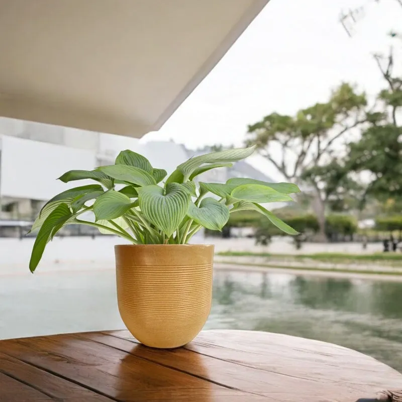 Brown ribbed planter holding a leafy plant on an outdoor table.
