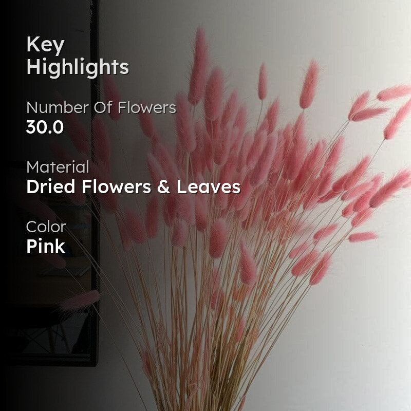 Naturally Dried Bunny Tail Stems (Pink) - Set of Thirty media 2