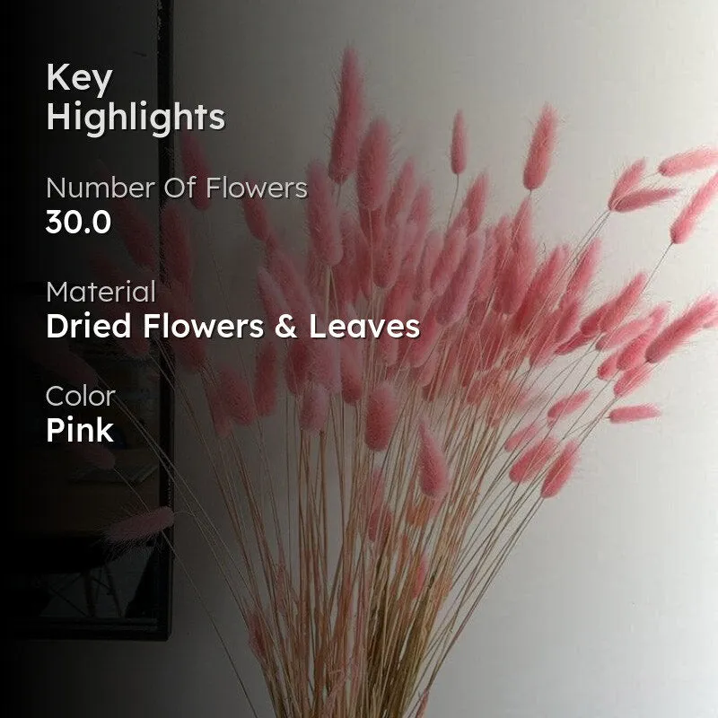 Naturally Dried Bunny Tail Stems (Pink) - Set of Thirty media 2