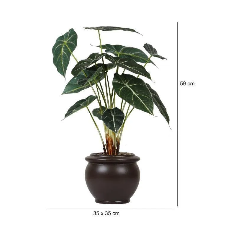 Faux Alocasia Bonsai In Ceramic Pot (59 cms) - Brown media 4