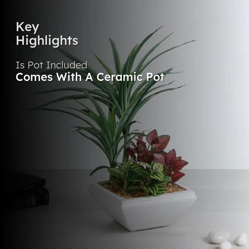 Faux Araceae Bonsai In Ceramic Pot - 34 cms media 2