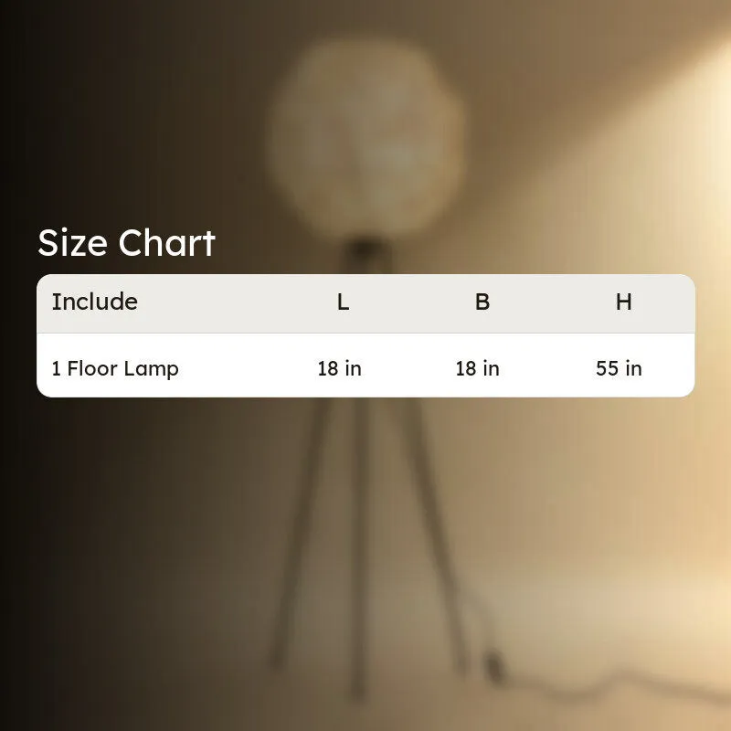 Fig Living Luna Floor Lamp media 14