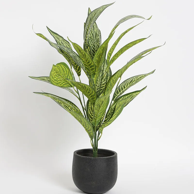 Faux Light Green Icetone Croton Plant - 2.2 Feet media 3