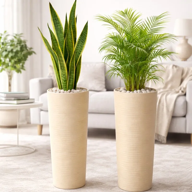 Root Aura Planters - Set Of Two media 2