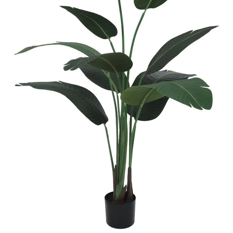 Faux Bird of Paradise Plant With Black Plastic Pot - 5 ft media 7